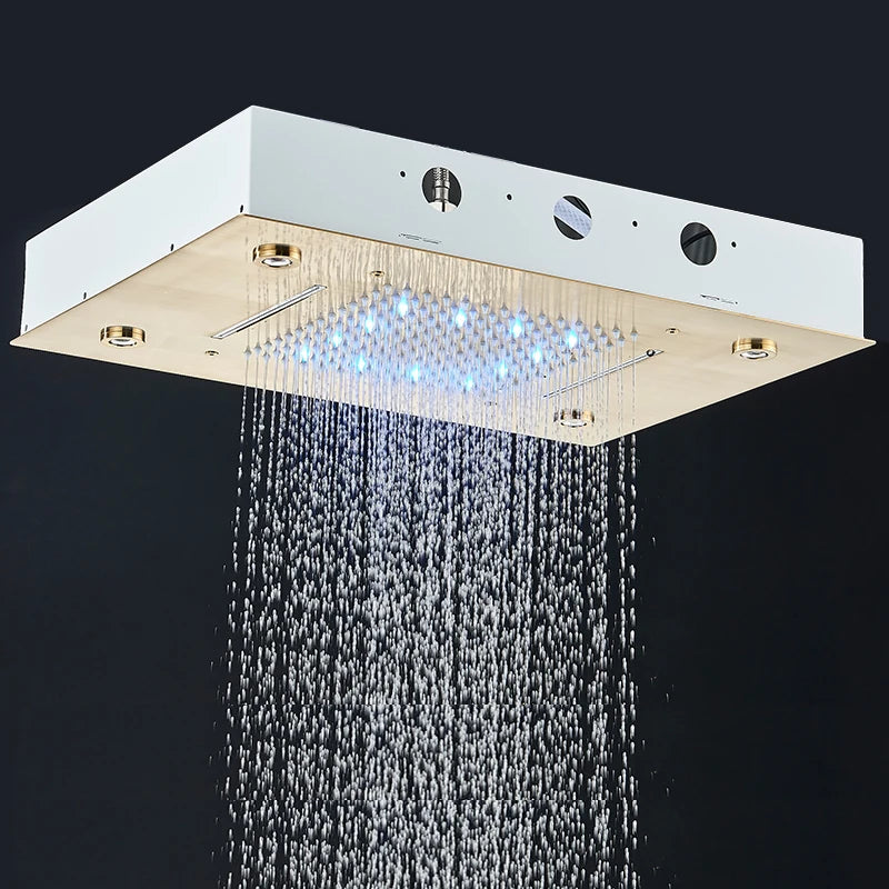 Rozin LED Shower Head 304SUS Ceiling Mounted Rain And Waterfall