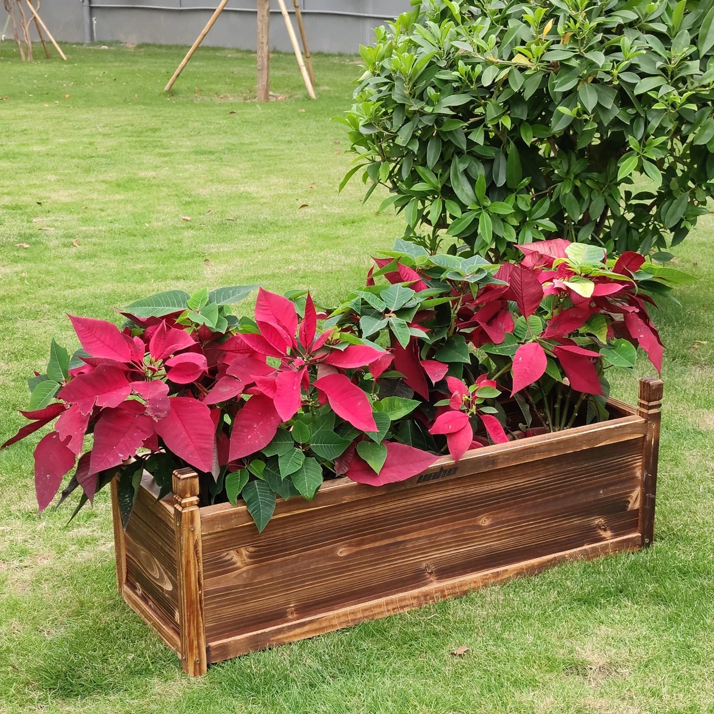 Raised Wood Window Box Planter For Garden And Yard Plants