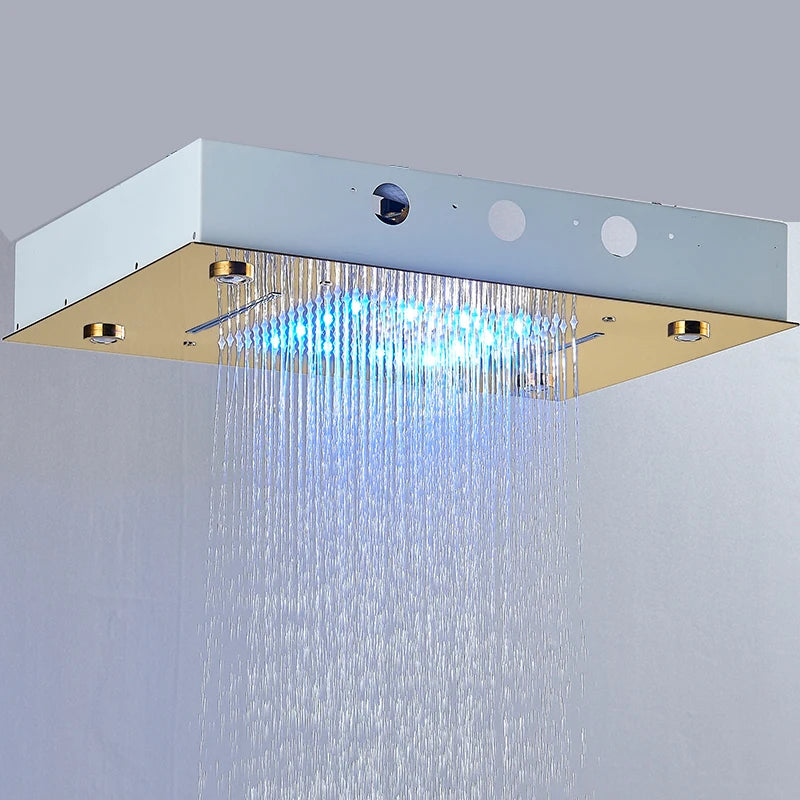 Rozin LED Shower Head 304SUS Ceiling Mounted Rain And Waterfall