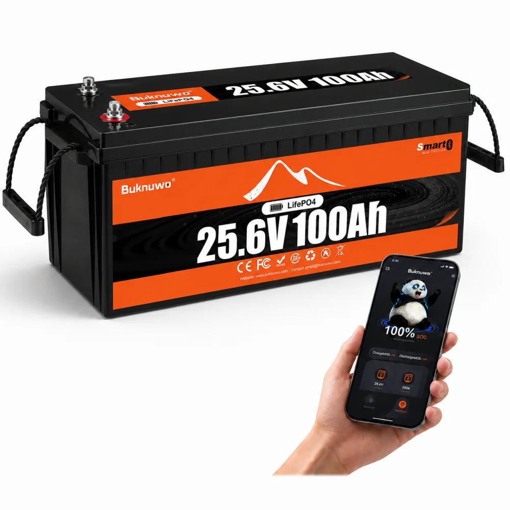 Buknuwo 24V 100Ah LiFePO4 Battery With Bluetooth And 100A BMS