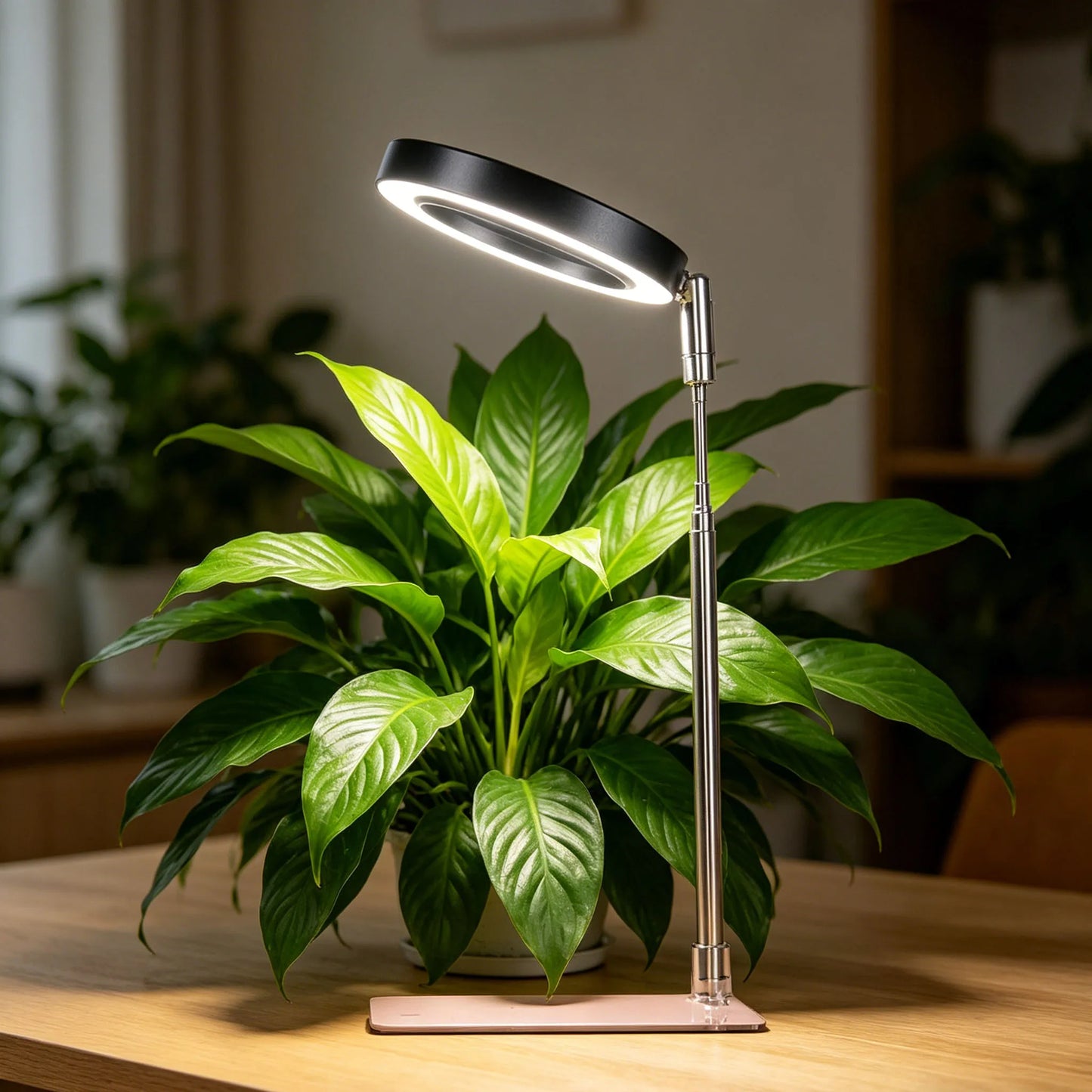 Indoor Full Spectrum LED Plant Growth Lights With Retractable Base