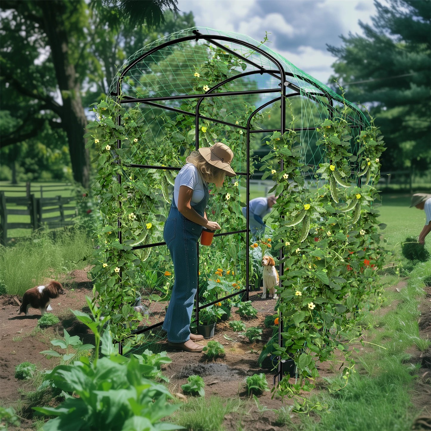 U Shaped Garden Cucumber Trellis For Climbing Plants