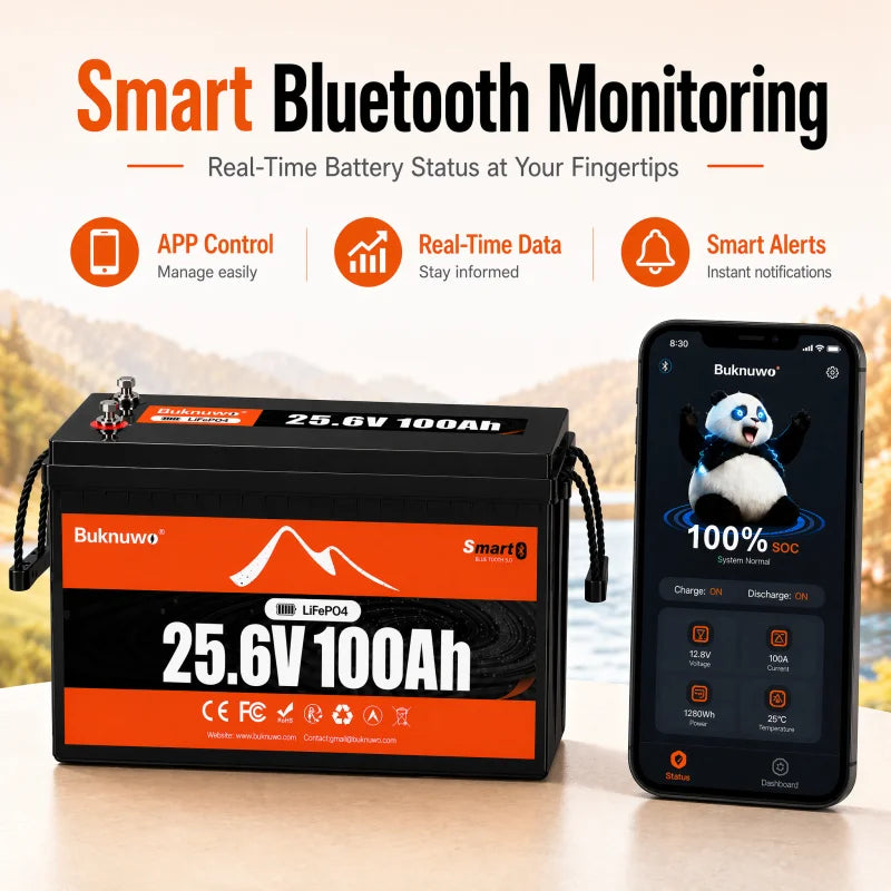 Buknuwo 24V 100Ah LiFePO4 Battery With Bluetooth And 100A BMS