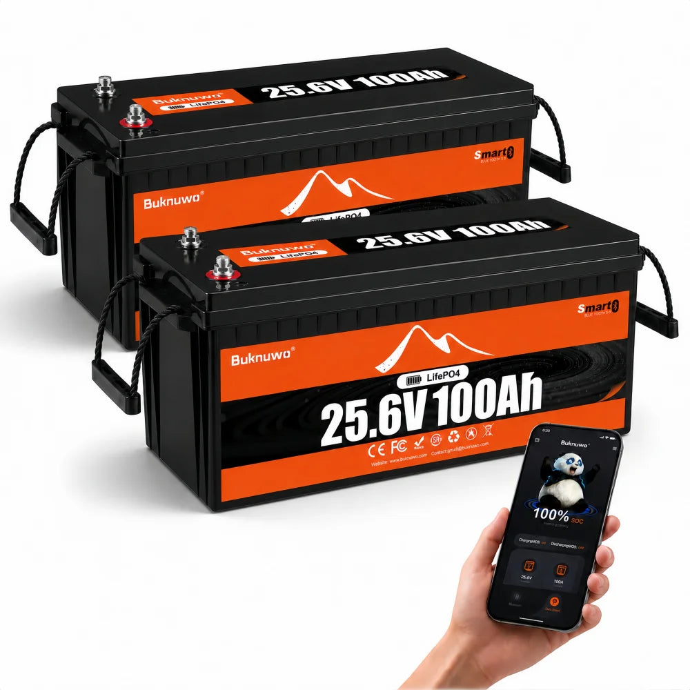 Buknuwo 24V 100Ah LiFePO4 Battery With Bluetooth And 100A BMS